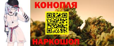 гашик Дубна