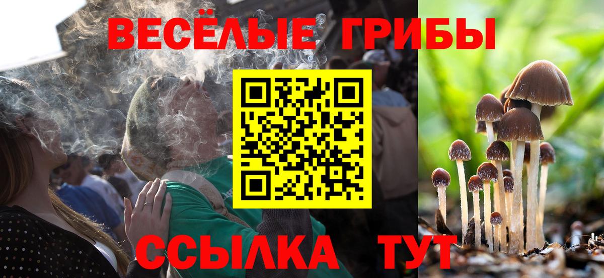 Галлюциногенные грибы прущие грибы  наркота  Люберцы  Вход с VPN 