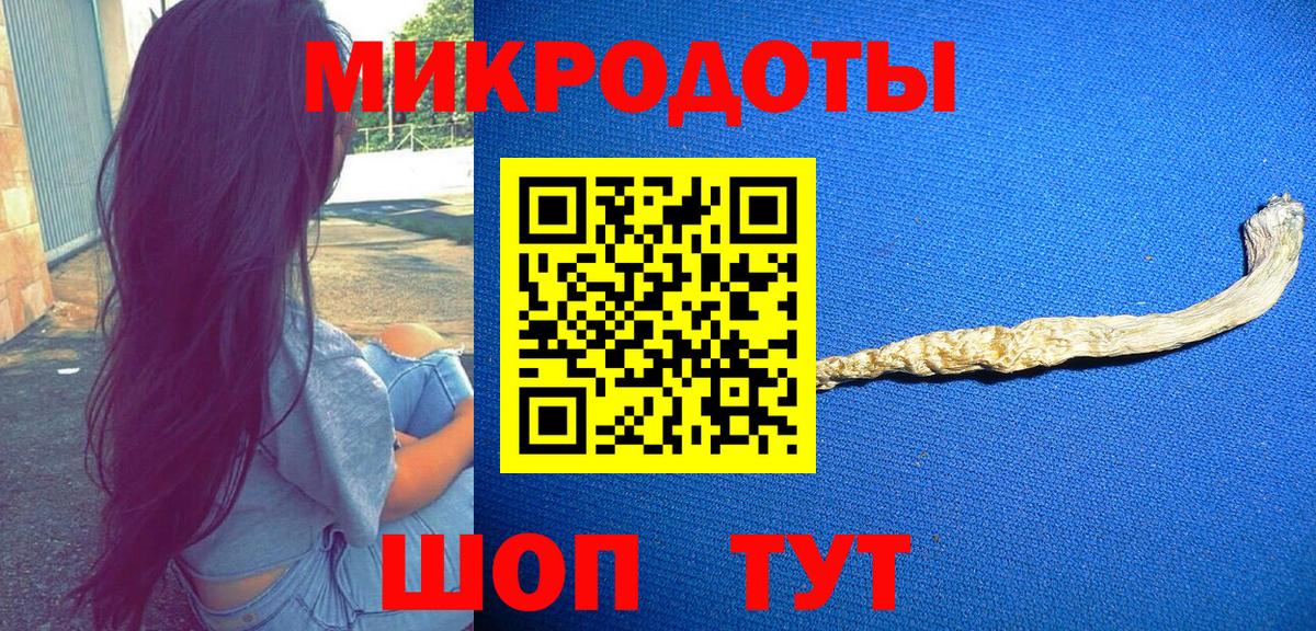 Галлюциногенные грибы Psilocybe Люберцы